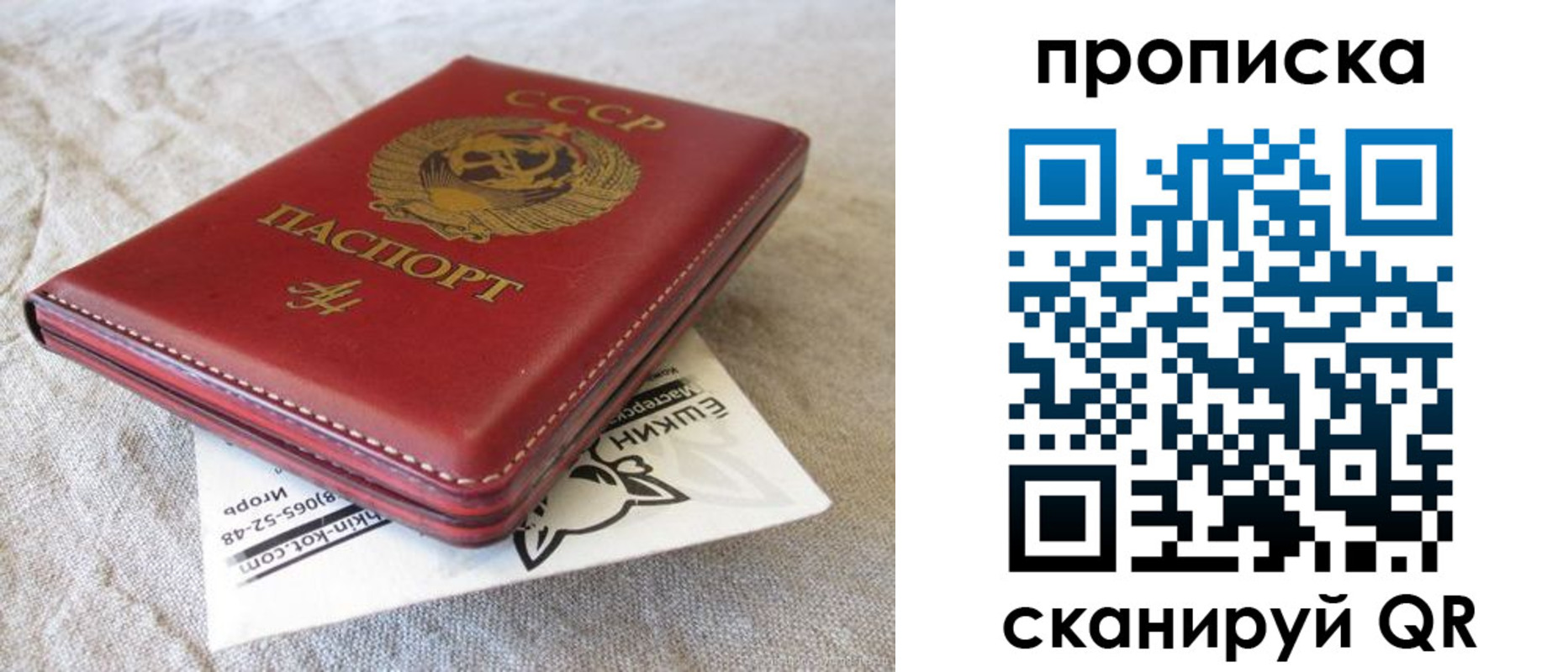 прописка для школы в Ростове-на-Дону